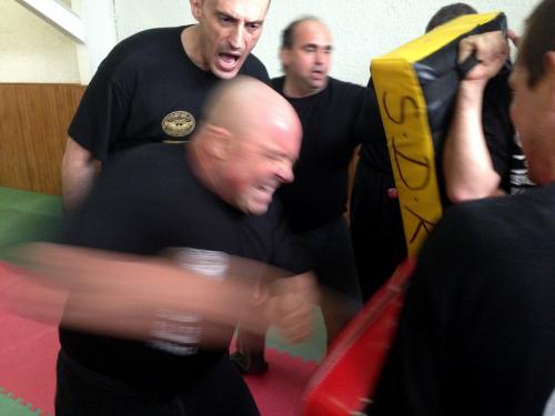 kravmaga (14)