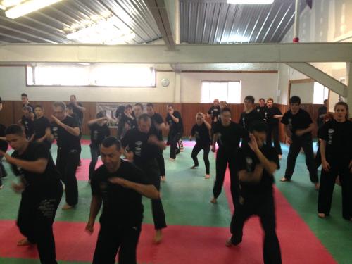 kravmaga (18)