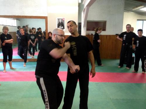 kravmaga (19)